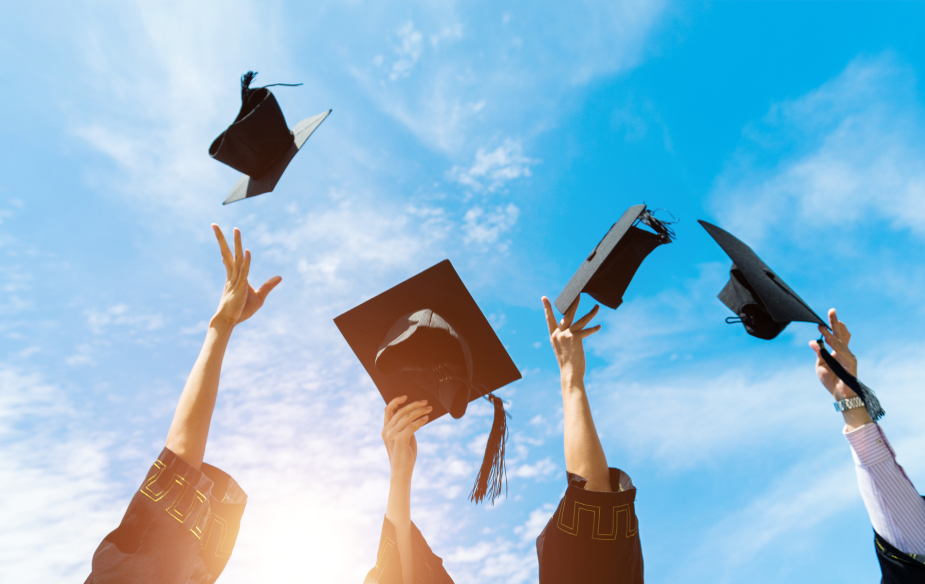 Certificate Programs